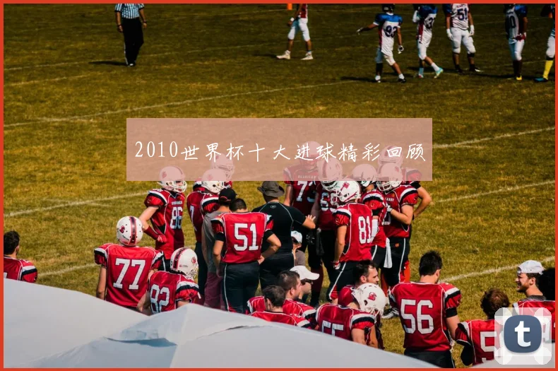 2010世界杯十大进球精彩回顾