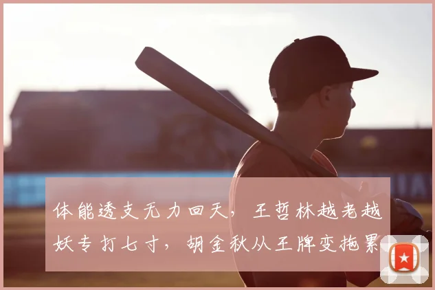 体能透支无力回天，王哲林越老越妖专打七寸，胡金秋从王牌变拖累