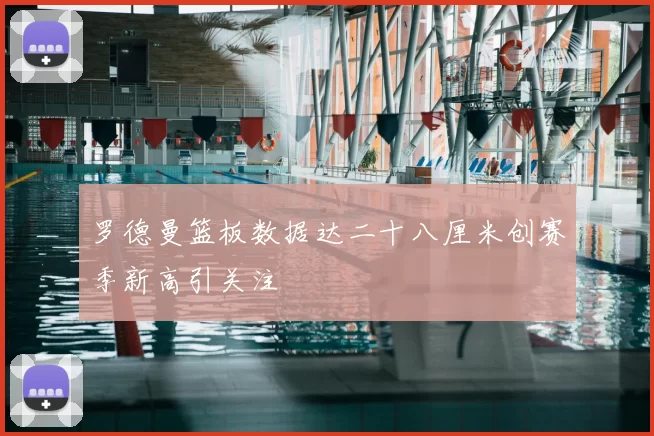 罗德曼篮板数据达二十八厘米创赛季新高引关注